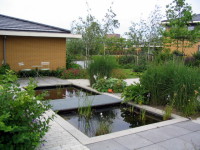 moderne vijver, tuin Leiden